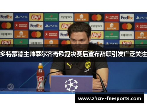 多特蒙德主帅泰尔齐奇欧冠决赛后宣布辞职引发广泛关注